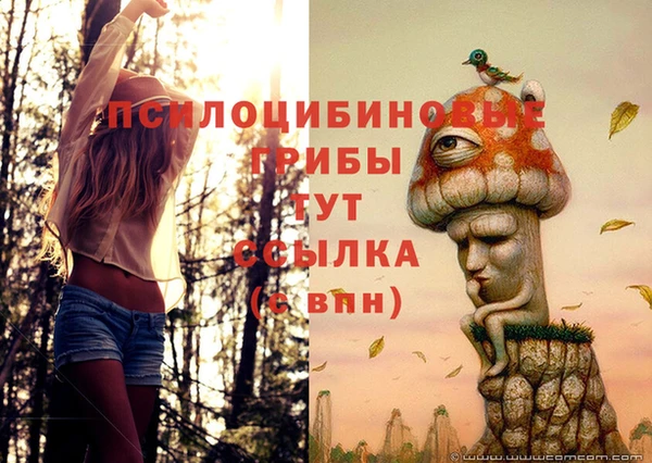 герыч Вязьма