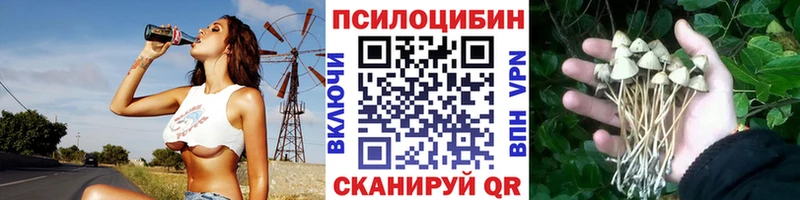 Купить закладки  Магас  Псилоцибиновые грибы Psilocybe 
